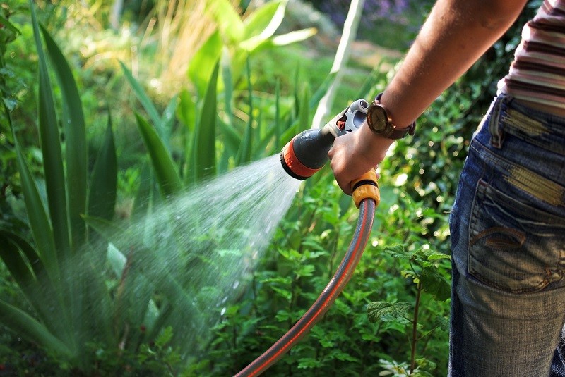 Trucos para ahorrar agua en el jardín - Castelog