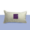 ALMOHADA DE VIAJE 50*25 CM