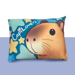 ALMOHADA COLAP HD REVERSIBLE LICENCIAS 70CM*50 CM